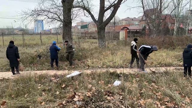 Субботник организованный спорт-школами гор смотреть онлайн