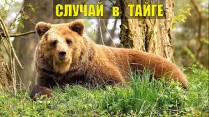 0315 МЕДВЕДЬ ЗАКОПАЛ ОХОТНИКА и ЛЁГ НА НЕГО СЛУЧАЙ ЖИЗНЬ в ТАЙГЕ ИСТОРИИ из ЖИЗНИ в ЛЕСУ ПРИРОДА СЕР