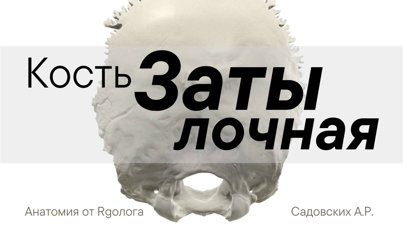 Затылочная кость смотреть онлайн