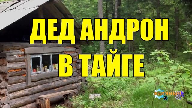 0952 - ВЕРНАЯ СОБАКА _ ДЕД АНДРОН _ ЖИЗНЬ В ТАЙГЕ смотреть онлайн