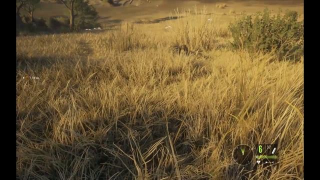 theHunter Call of the Wild - Баг "Аномалия трамплин" смотреть онлайн