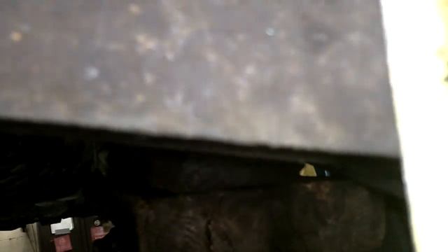 Cougar rear end tour part 2.MOV смотреть онлайн