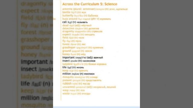 Spotlight 5, Across the Curriculum 5: Science, p. WL 7, учим новые слова с переводом смотреть онлайн