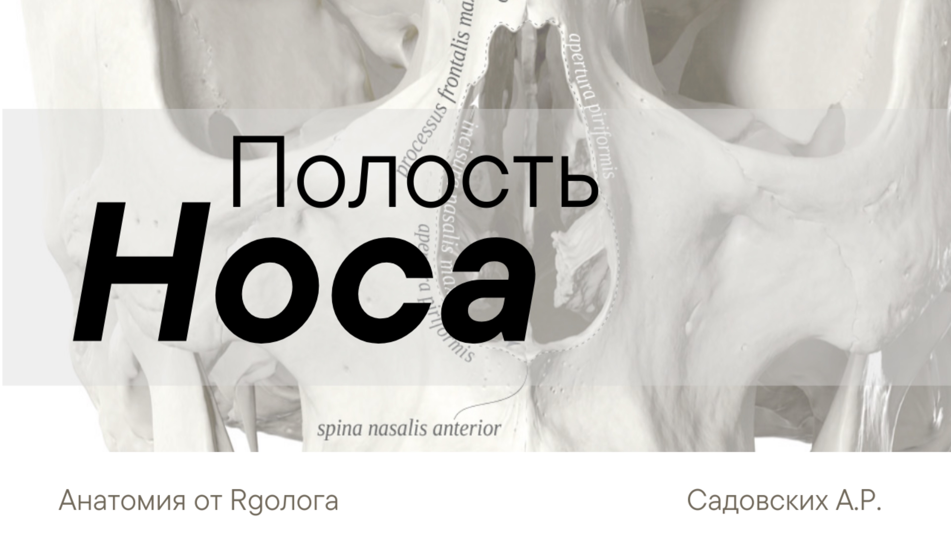 Полость носа смотреть онлайн
