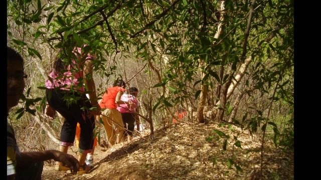 On World Environment Day 2020 смотреть онлайн