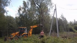 Как очень легко убрать большое дерево с участка