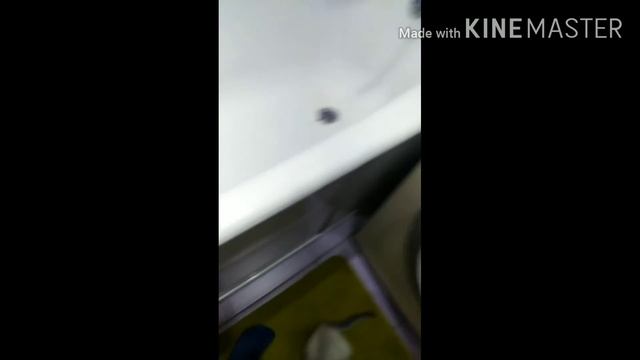 2 ЧАСТЬ БИТВ ЗЕФИРА И ЧИПЫ смотреть онлайн