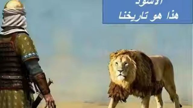 хаз хьехам👍 смотреть онлайн