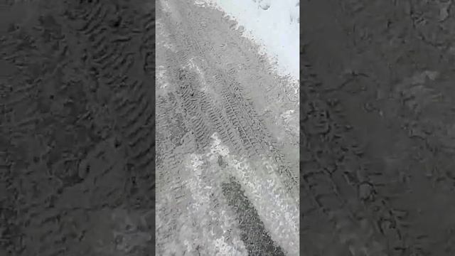 История номер три собака и его сбег смотреть онлайн
