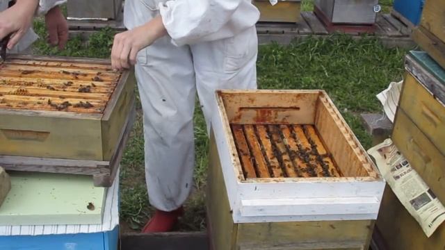 Проверяем приём маток смотреть онлайн