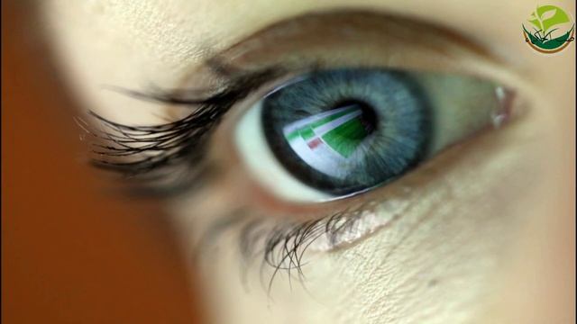 ما هي فوائد بيض البط الصحية смотреть онлайн