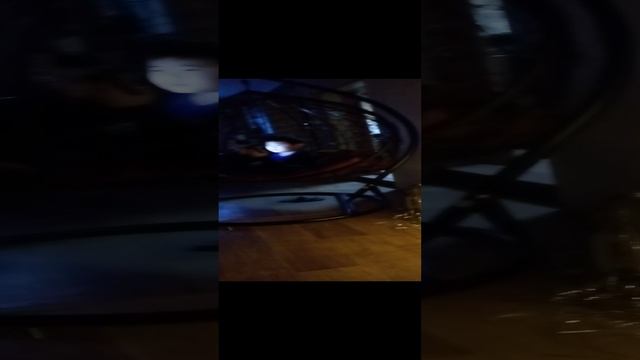 1000002338.mp4 смотреть онлайн
