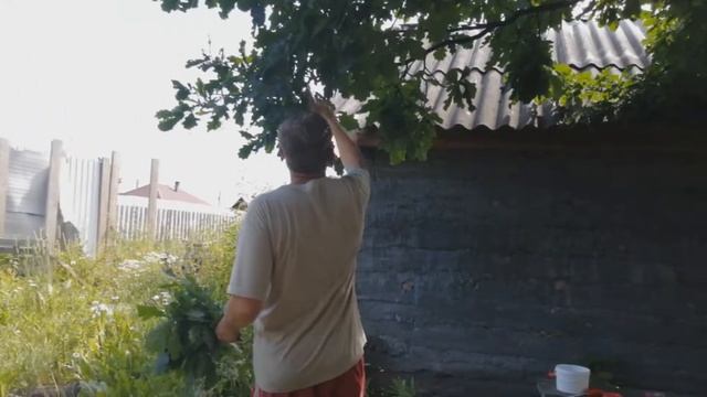 Дубовый веник Бассейн Шашлыки смотреть онлайн