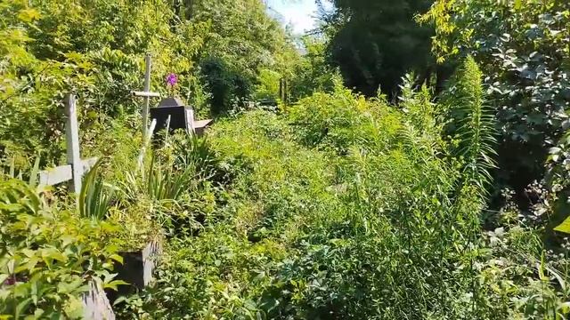 Чернобог. Славянские боги. Жречество. смотреть онлайн