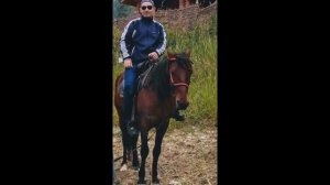 Гоцатль большой.