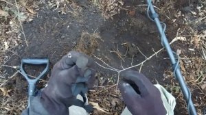 Intronik STF 12х9"760. Поиск на юге в лесу по ранним векам.