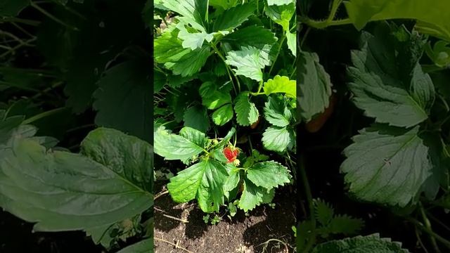 5 июля 2022 г. смотреть онлайн