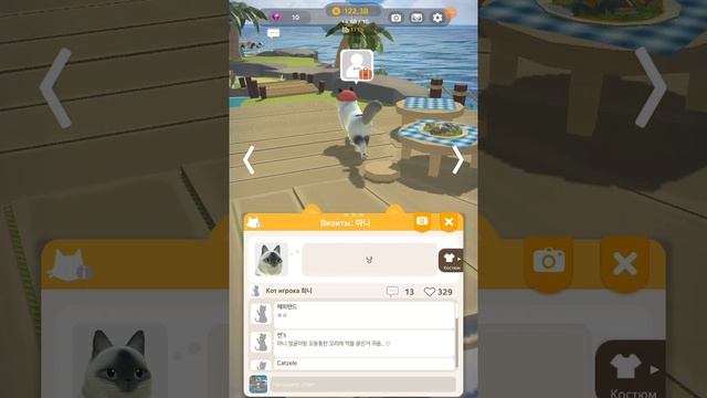 Кошачий курорт