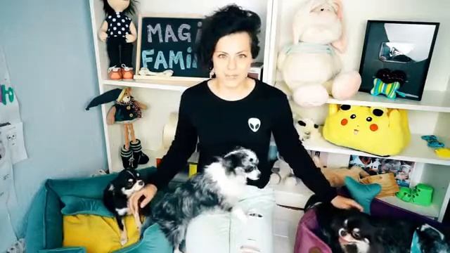 TOP 5 CRAZY GOODS for DOGS and CATS! смотреть онлайн