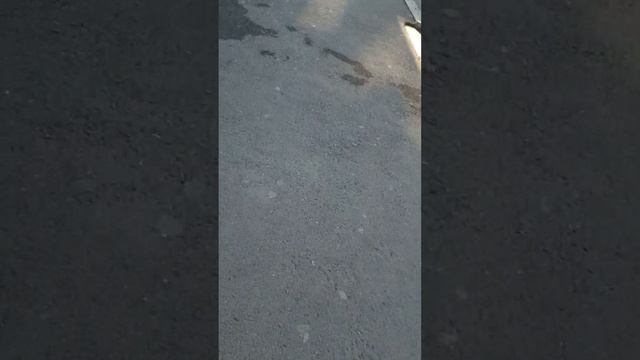 для детей и для взрослых (типа есть описание) смотреть онлайн
