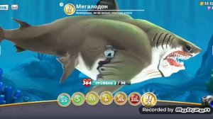 Играем в игру акулы