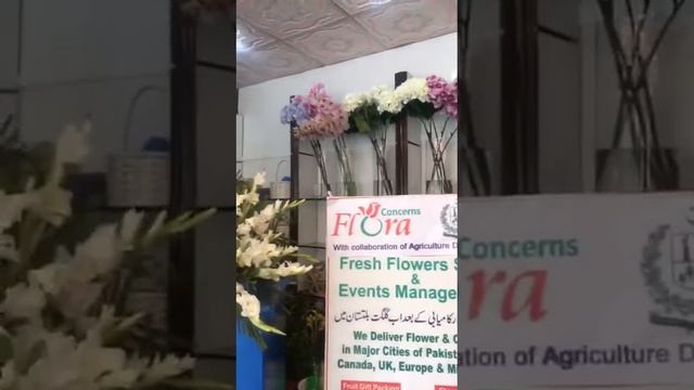 Flora Concerns fresh Flower Shop gilgit смотреть онлайн
