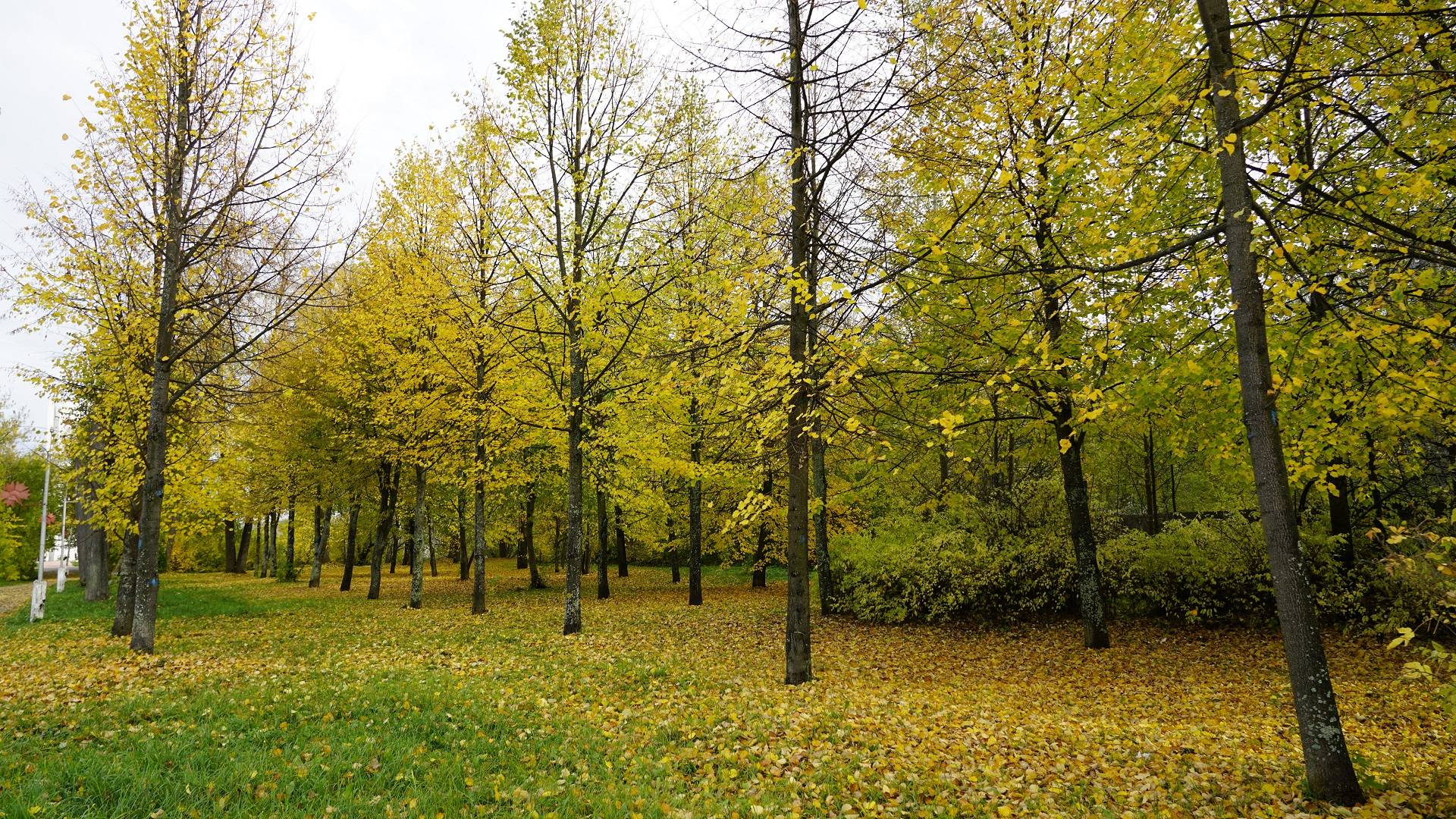 Путешествие в Пучеж 4k