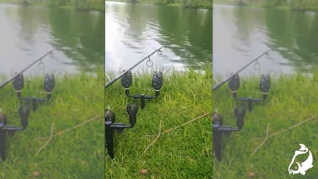 Carp Run COMPILATION 2022! PART 31! смотреть онлайн