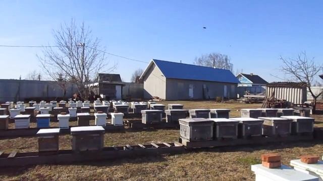 Выставляем пчел из зимовника. 2020 год. смотреть онлайн
