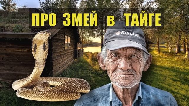 ИСТОРИИ из ЖИЗНИ ПРО ЗМЕЙ СЛУЧАЙ в ТАЙГЕ ИЗБУШКА ЛЕСНИКА СТРАШНЫЕ на НОЧЬ СУДЬБА в ЛЕСУ СЕРИАЛ смотреть онлайн
