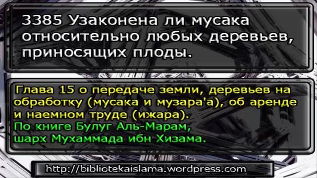 3385 Узаконена ли мусака относительно любых деревьев, приносящих плоды смотреть онлайн
