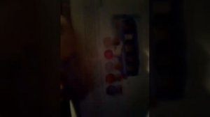А мы летим вместе с птицами