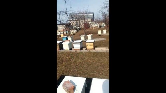 Весна на Кавказе (20.02.2021) смотреть онлайн