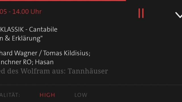 Wolfram - Wie Todesahnung... O du mein holder Abendstern (Tannhäuser) | Tomas Kildišius смотреть онлайн