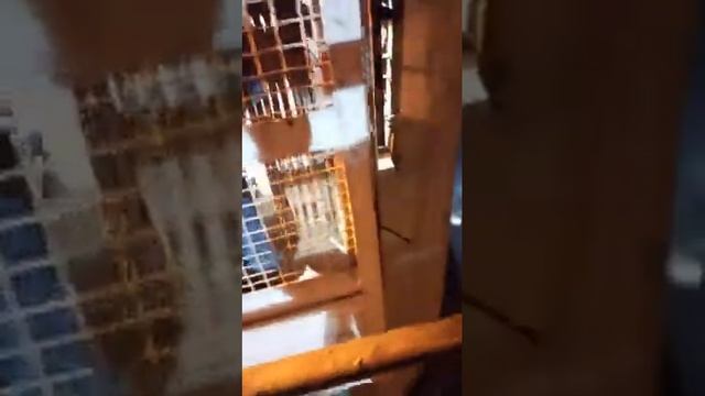 Liftshaft brauni firtlizer смотреть онлайн