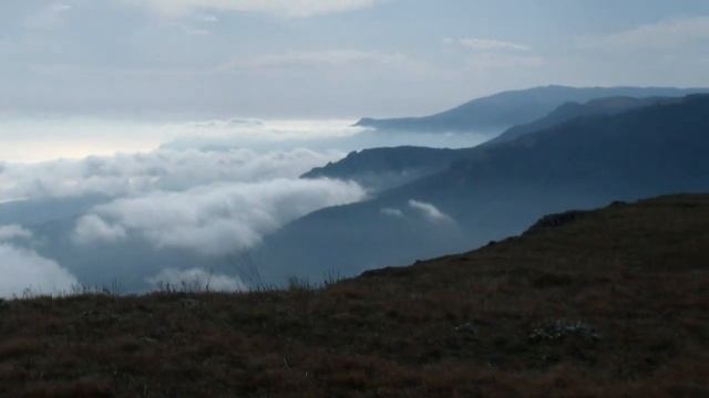 промо борщ 18+ смотреть онлайн