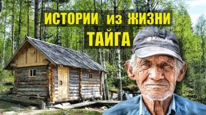 0456 ДЕД ПЁТР ЛЕСНИК ИСТОРИИ из ЖИЗНИ ЛЕСНИКА СЛУЧАЙ в ТАЙГЕ ДОМ в ЛЕСУ РАССКАЗЫ ОТШЕЛЬНИКА СЕРИАЛ
