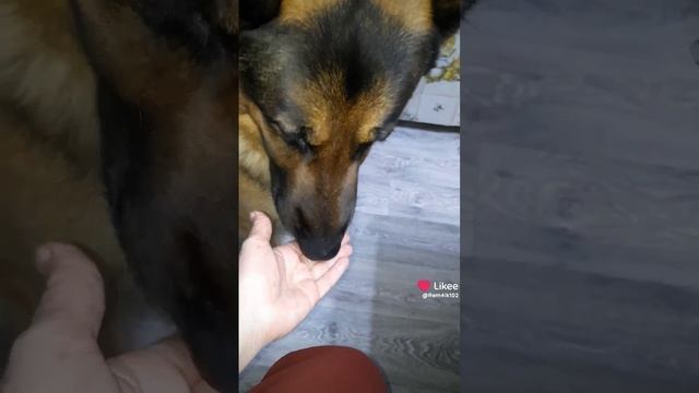 30.12.24г смотреть онлайн