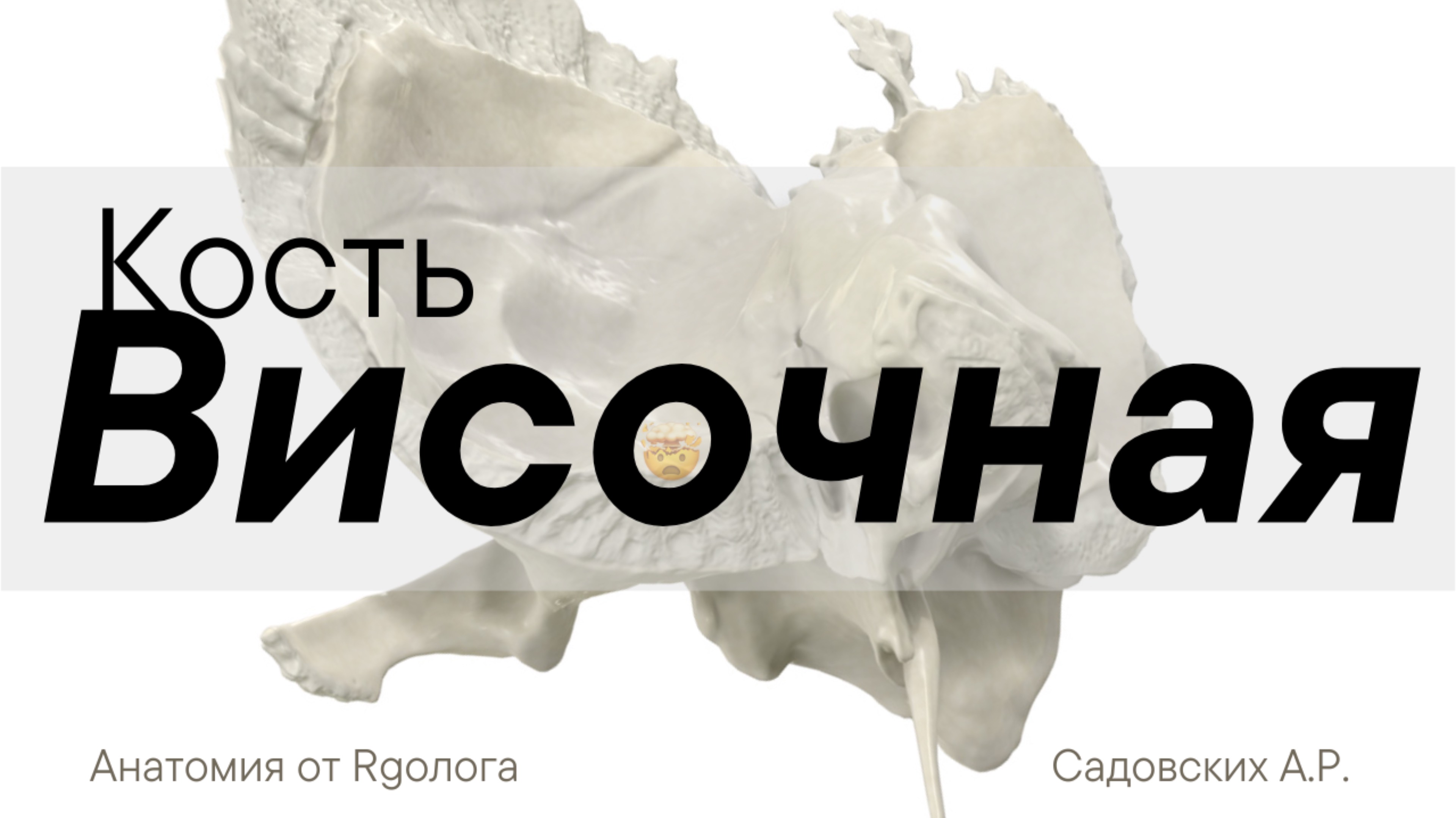 Височная кость смотреть онлайн