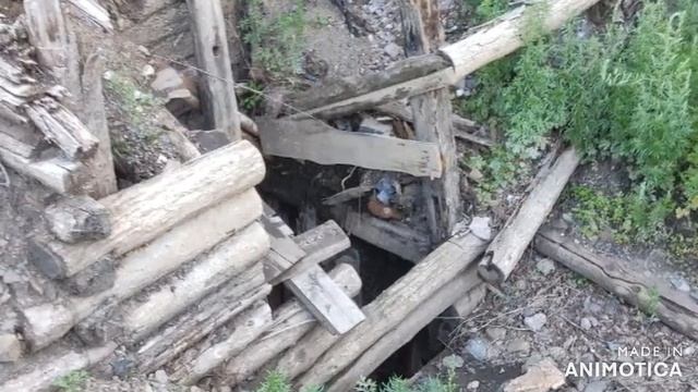 Лето2023:КыринскийРайон