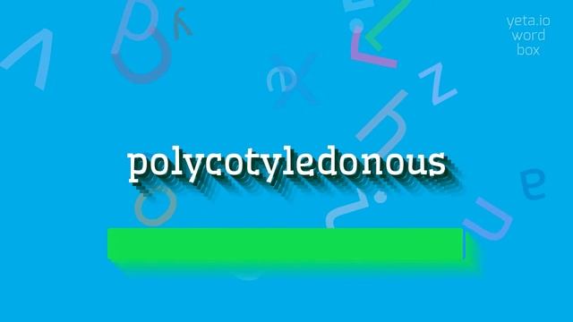 HOW TO SAY POLYCOTYLEDONOUS? #polycotyledonous смотреть онлайн