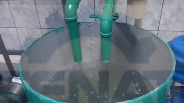 PROCESO DE PLANTA POSPI.mp4 смотреть онлайн