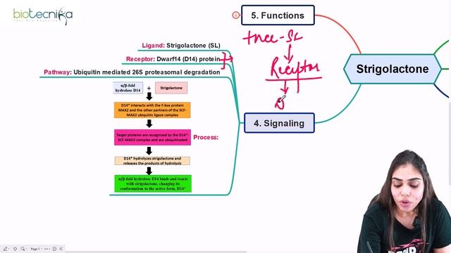Strigolactone Biosynthetic Mechanism | Signaling Cascade | Transport - CSIR NET UNIT 6 Phytohormone смотреть онлайн