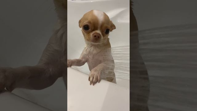 тепленькая пошла смотреть онлайн