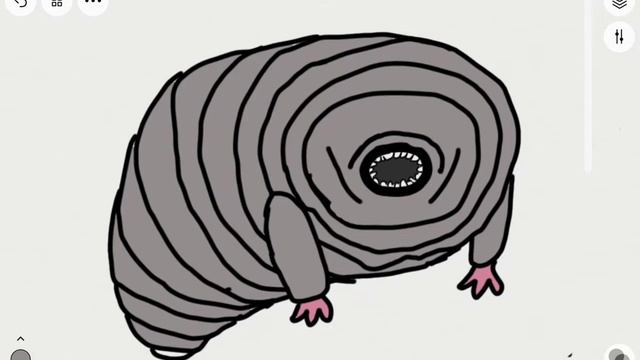 Рисуем  космическую  тихоходку