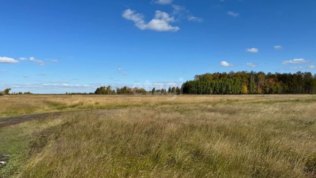 видео2 смотреть онлайн