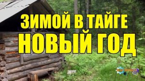 0492 - НОВЫЙ ГОД В ТАЙГЕ С СОБАКОЙ _ МЕЧТЫ СБЫВАЮТСЯ ЗИМОЙ _ ДЕД И БАБКА