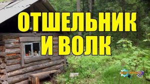 ОТШЕЛЬНИК И ВОЛК _ ЖИЗНЬ В ТАЙГЕ _ ВОЛК СПАС ЧЕЛОВЕКА