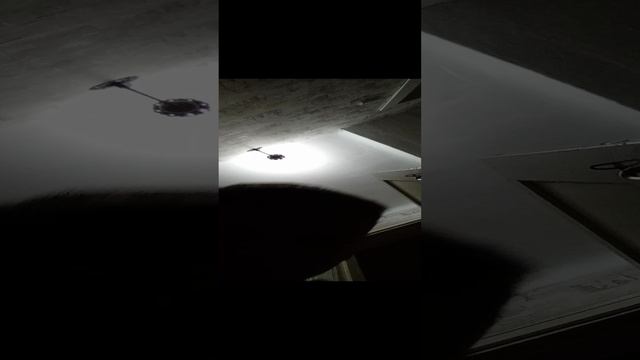 1000017181.mp4 смотреть онлайн