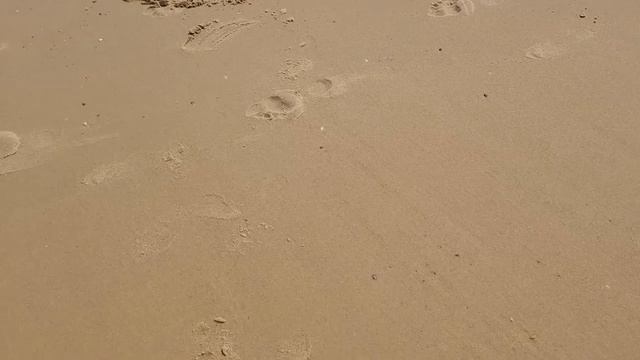 Fahrradtour zum Strand Lacanau. смотреть онлайн